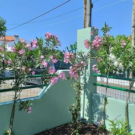 Lovely Guesthouse On The Beach Agia Anna  Exterior photo
