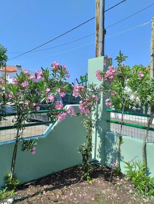 Lovely Guesthouse On The Beach Agia Anna  Exterior photo